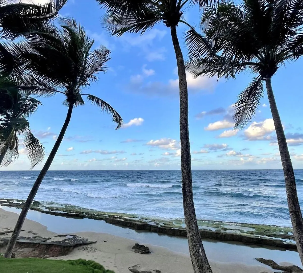 Apartment Kikita Beachfront Condo With Pool Dorado Puerto Rico